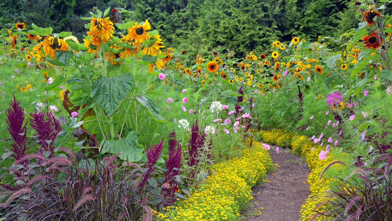 KEY 7_ THE GARDEN Happy For No Reason KEY 7_ THE GARDEN Happy For No Reason